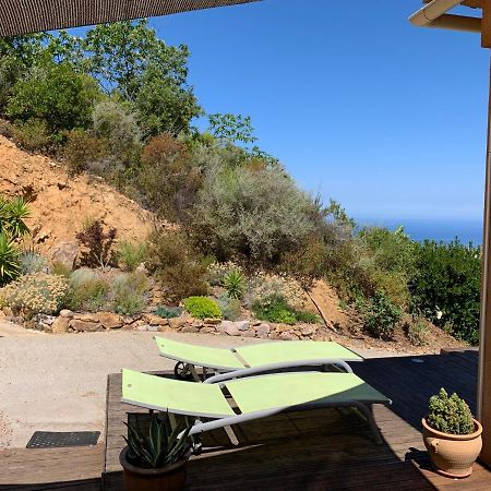 Villa Confina Villanova Dış mekan fotoğraf