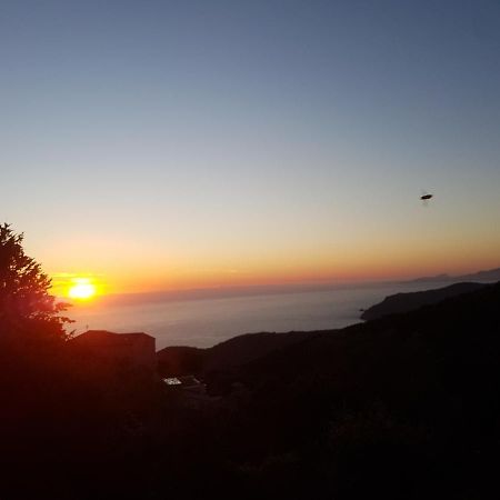 Villa Confina Villanova Dış mekan fotoğraf