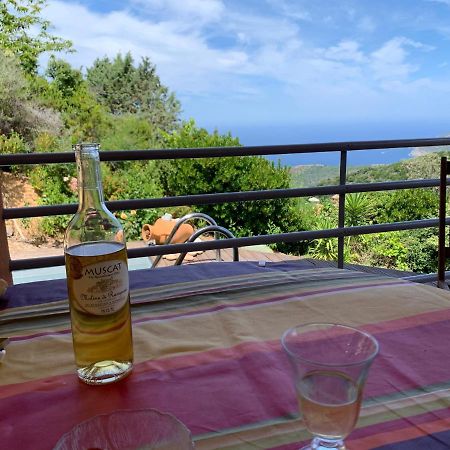 Villa Confina Villanova Dış mekan fotoğraf
