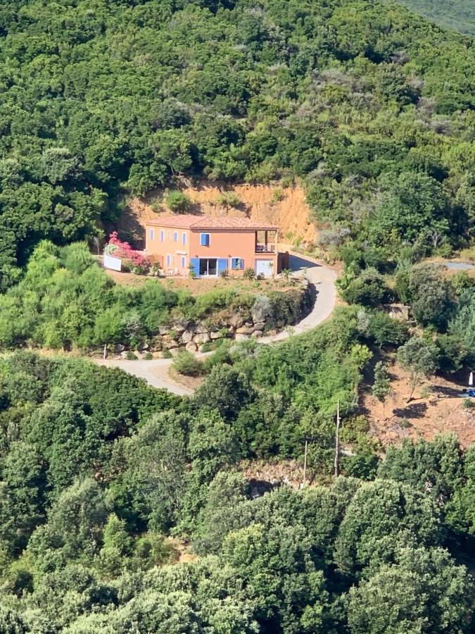 Villa Confina Villanova Dış mekan fotoğraf